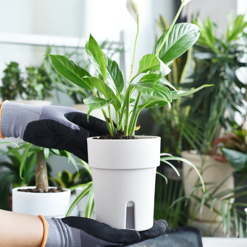 Deepbang Wholesale Flower Pots Self Watering Self Cleaning Smart Water Bottle Plant Self Watering Device White and Grey