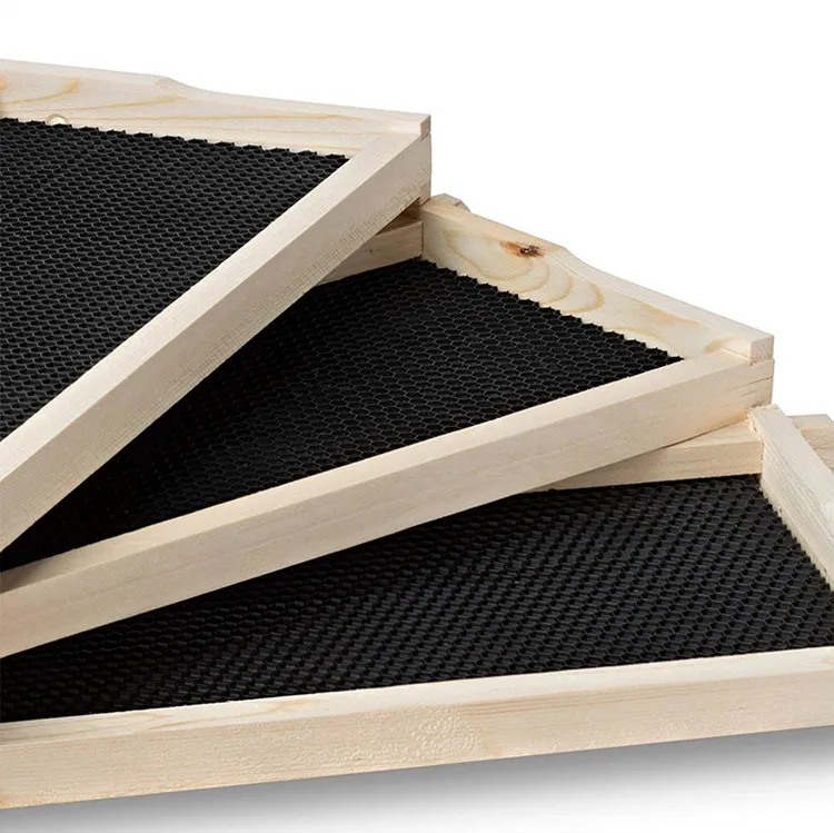 10 Frame Medium Super Box for Honey Bee Hives Beeswax Coated Bee Frames with Plastic Rite-Cell Foundation Sheet