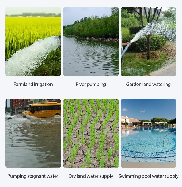 DL-WP20H High-Power 4-Stroke Agricultural Drainage Pumping Water Pump