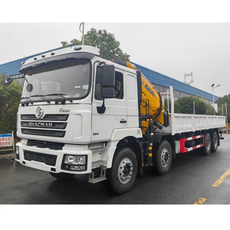 SHACMAN 20-25 Ton Lorry Truck Crane Folding Arm Truck Mounted Crane For Sale in Nigeria