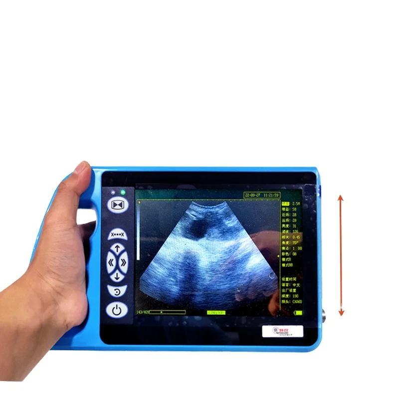 portable handle digital B ultrasound machine for animals cattle dog 8 inch LED screen medical equipment veterinary equipment