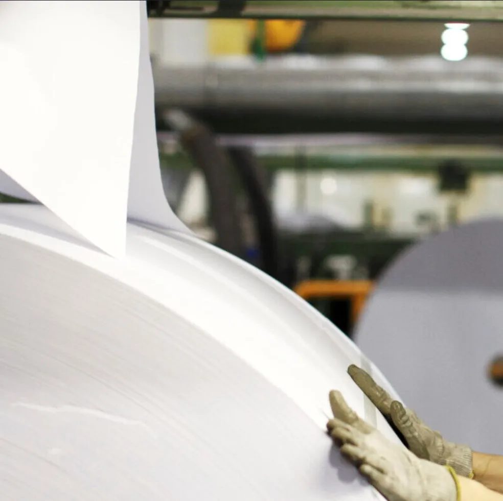 White High White Cream Bible Paper