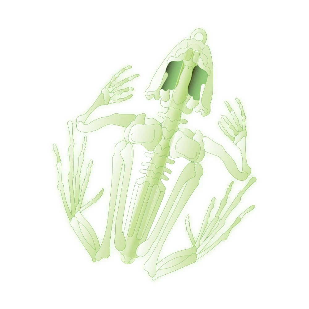 
PCA branded glow stick 6 party glow stick glow in dark for event decoration 