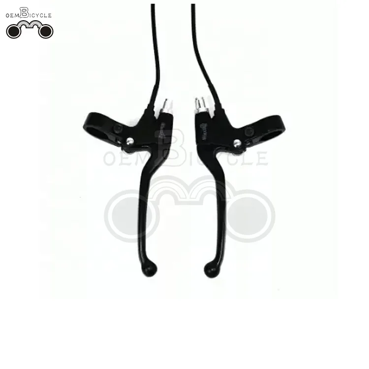 oembicycle mid-drive bafang bsd bbs02 48v 750w electric bicycle conversion kit