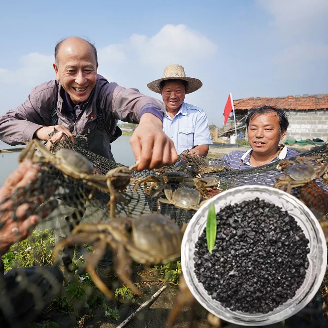 seafood farming humic acid sodium humate granules