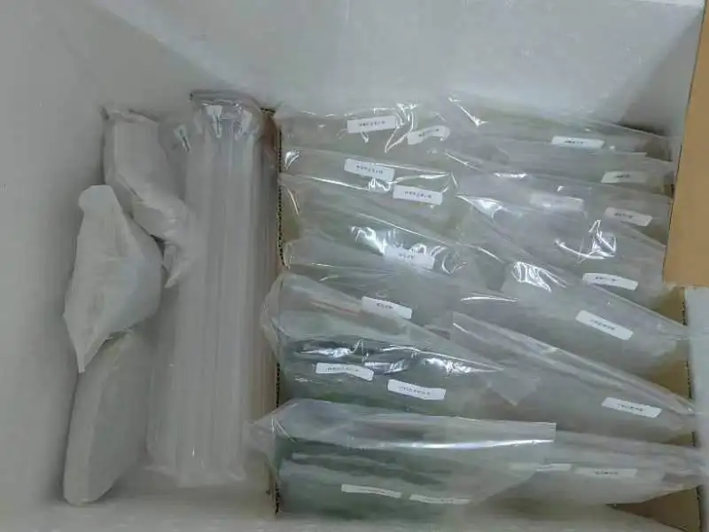 Популярная и популярная распродажа: филодендрон кольцо огненной ткани посев-зеленое украшение для домашней гостиной