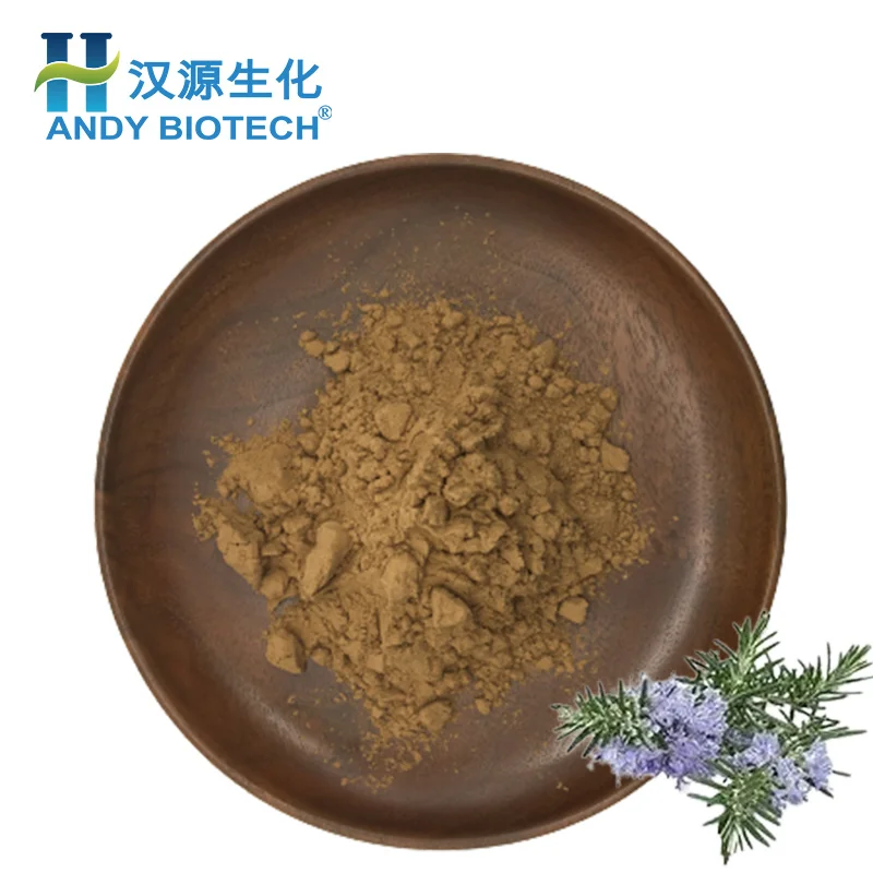 Manufacturer Supply Water soluble 5% Rosmarinic Acid Rosemary Extract Powder