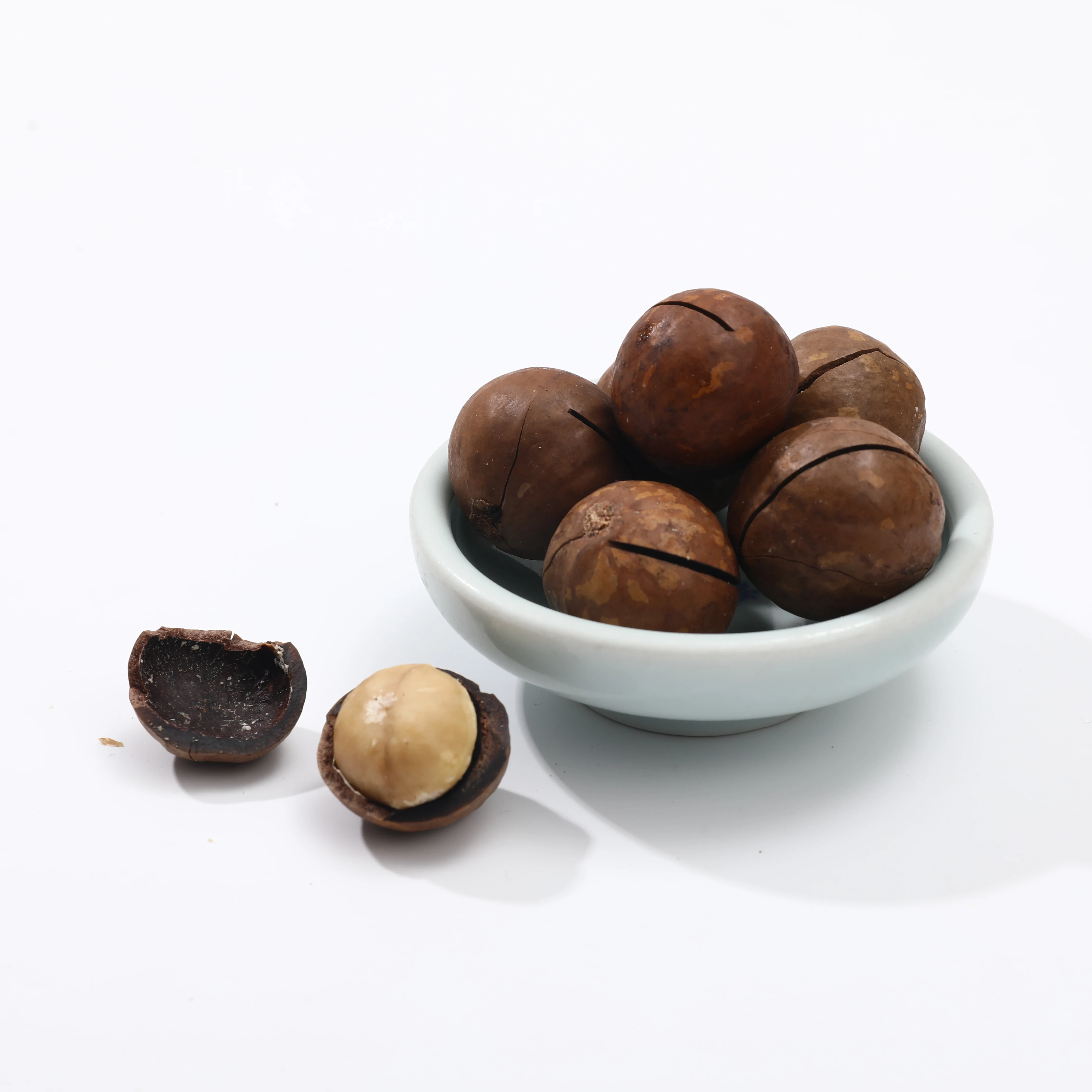 China Origin Milky Flavor   Roasted  Nuts Macadamia Nuts With Shell