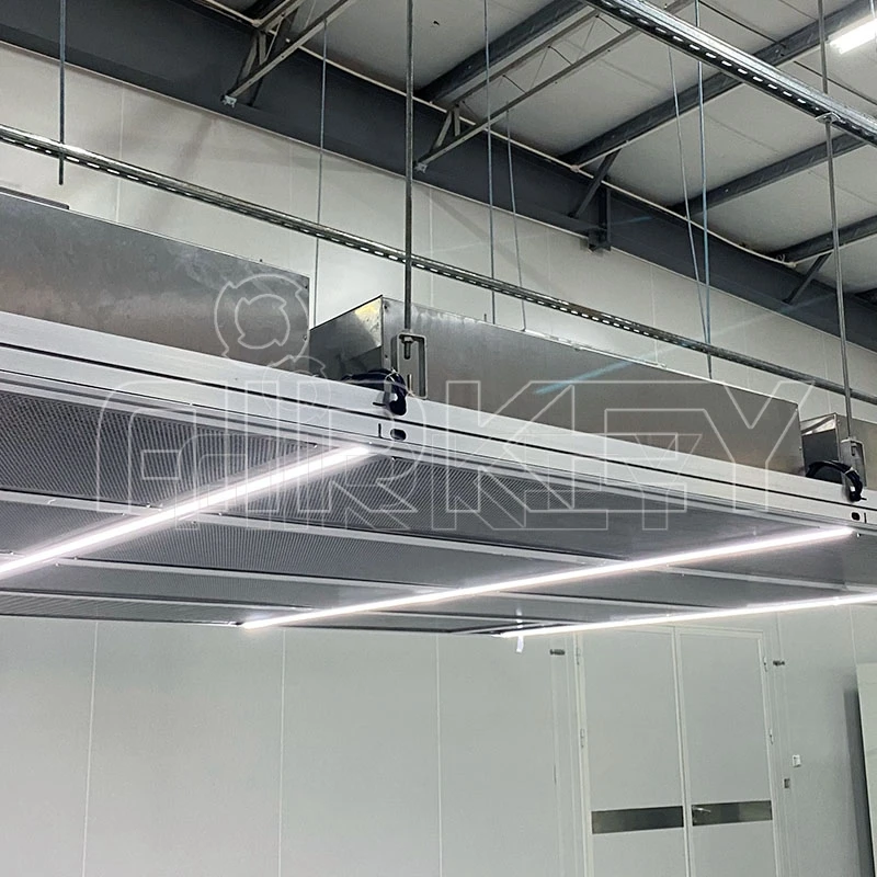 GMP Standard Cleanroom Equipment LAF Laminar Air Flow for Lab