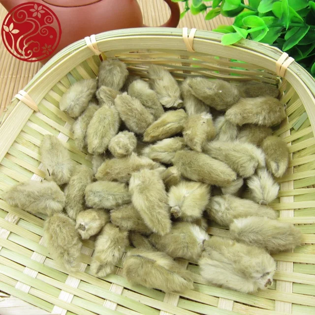 
magnolia flower Xin yi hua herbal blooming tea natural health 