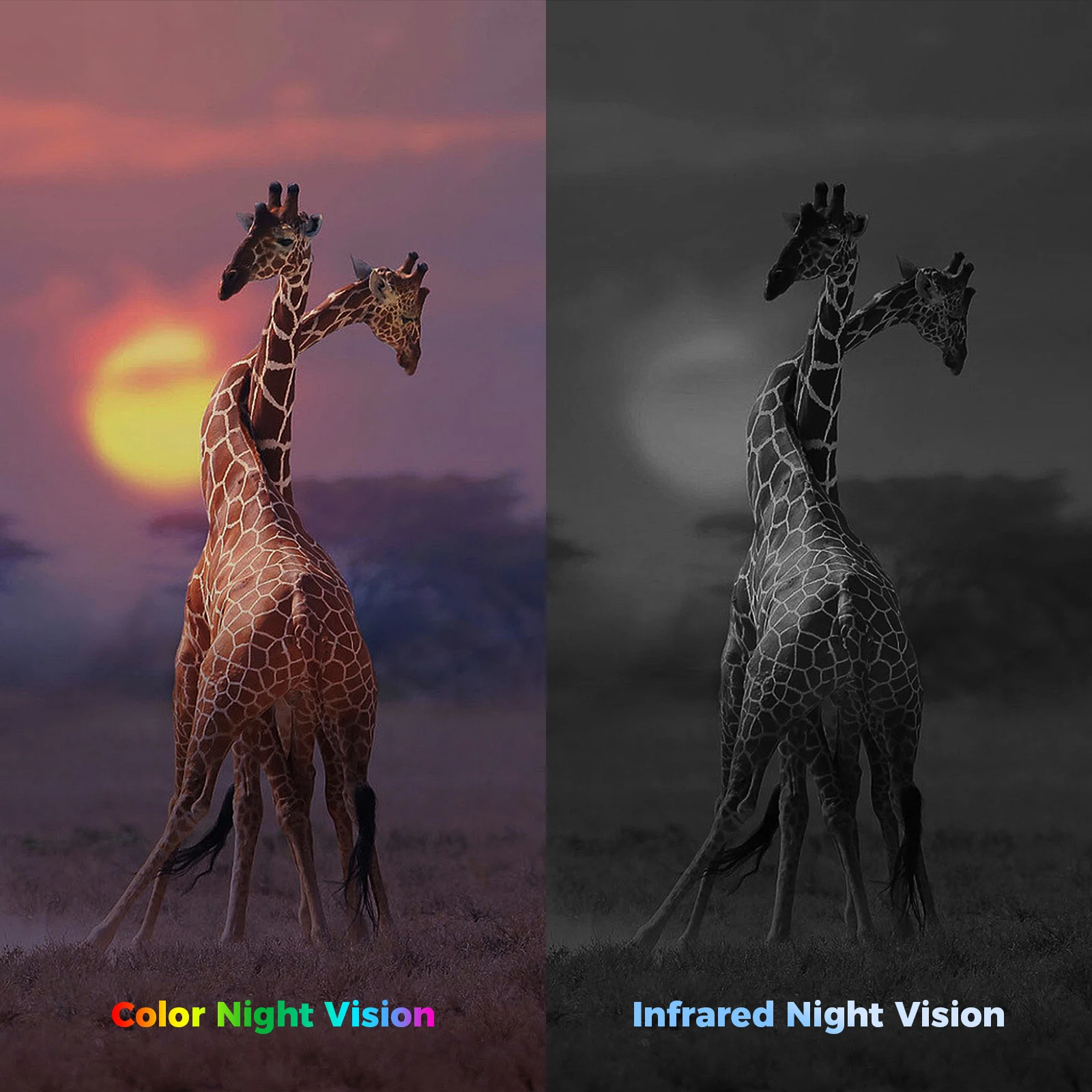 High cost performance 3MP 4G 5G 100% wireless IP Camera outdoors Alarm system Smart  Security Cctv 4G Camera Solar