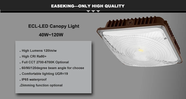 Hot Sales 40w - 120W IP65 waterproof 5000K neutral white motion sensor led canopy
