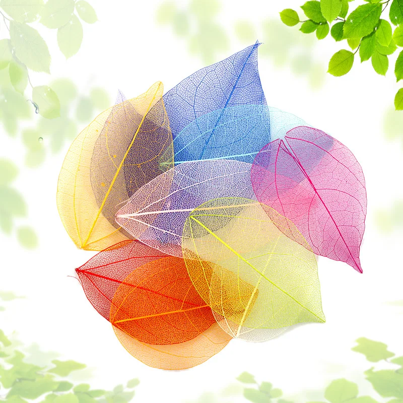 Wholesale Multi Color Natural Dried Flower 100 Pcs Skeleton Leaves Dyed Leaf Vein