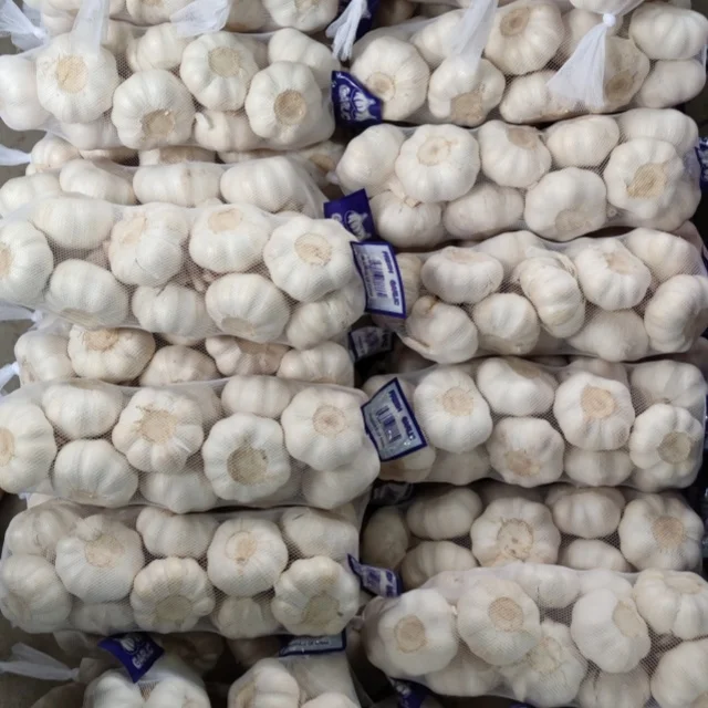 Cheap Price Shandong Fresh Vegetable Garlic  5.5cm Pure White Garlic