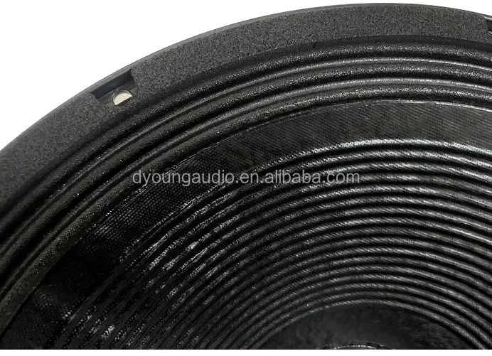 Single 18 double 18 inch speaker box outdoor subwoofer 220 mm magnet 100 mm coil loudspeaker 18TBX100