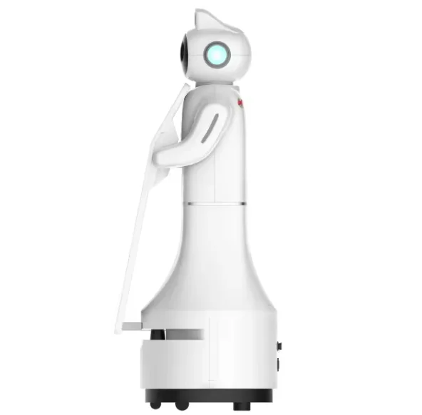 2024 Hot Sale Shopping mall welcome and reception robots service robots and IA automatic welcome robot