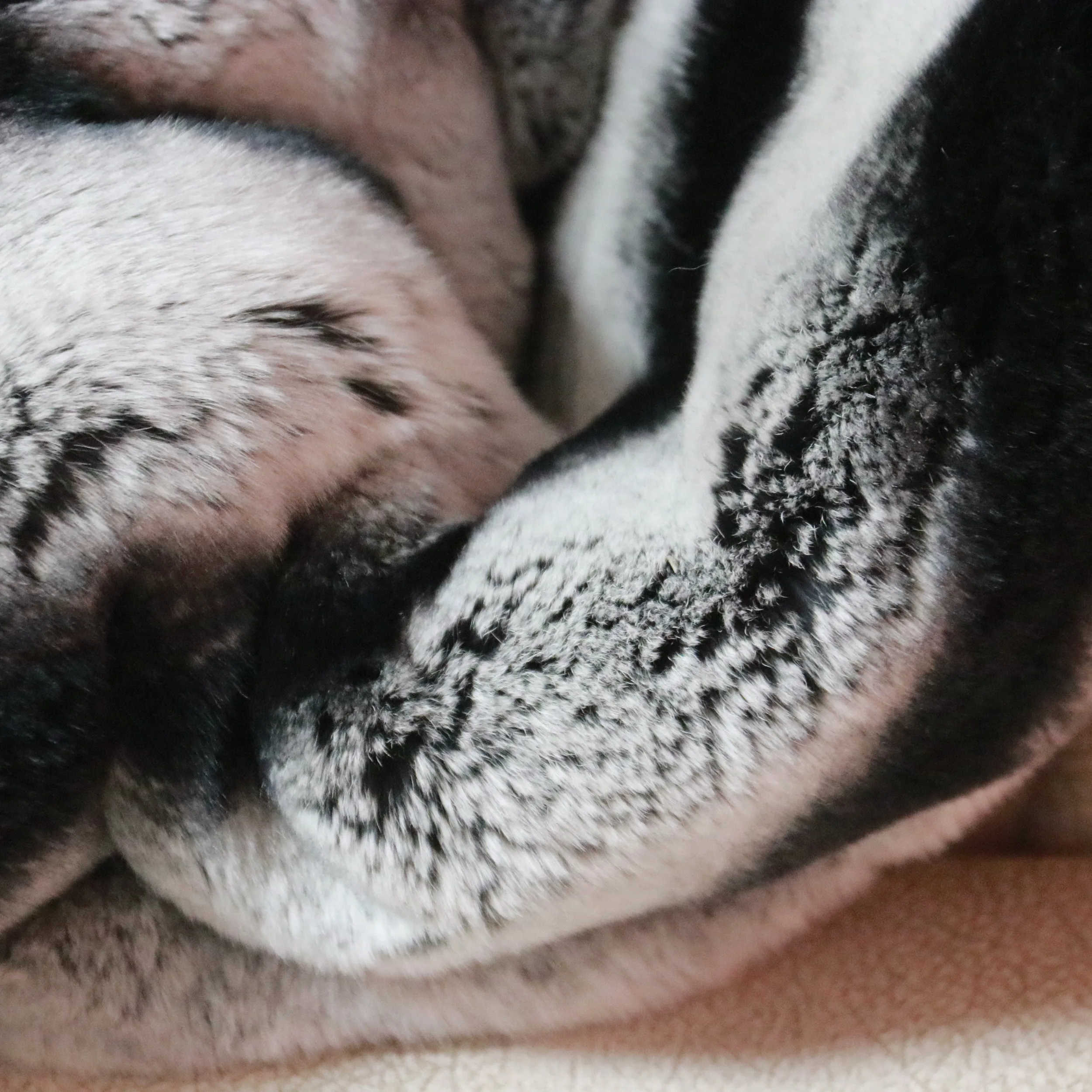 Хорошая цена мех шиншиллы из меха кролика рекс/меховые коврики настоящего Шиншилла Рекс/меховые пластины Рекс одеяло ковер постельное белье