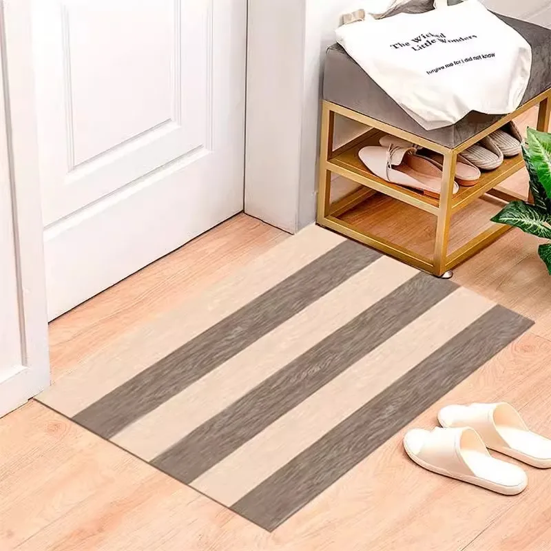 Entrance mat with antibacterial, dust removing and adhesive properties living room floor mat   high-end home use no washing