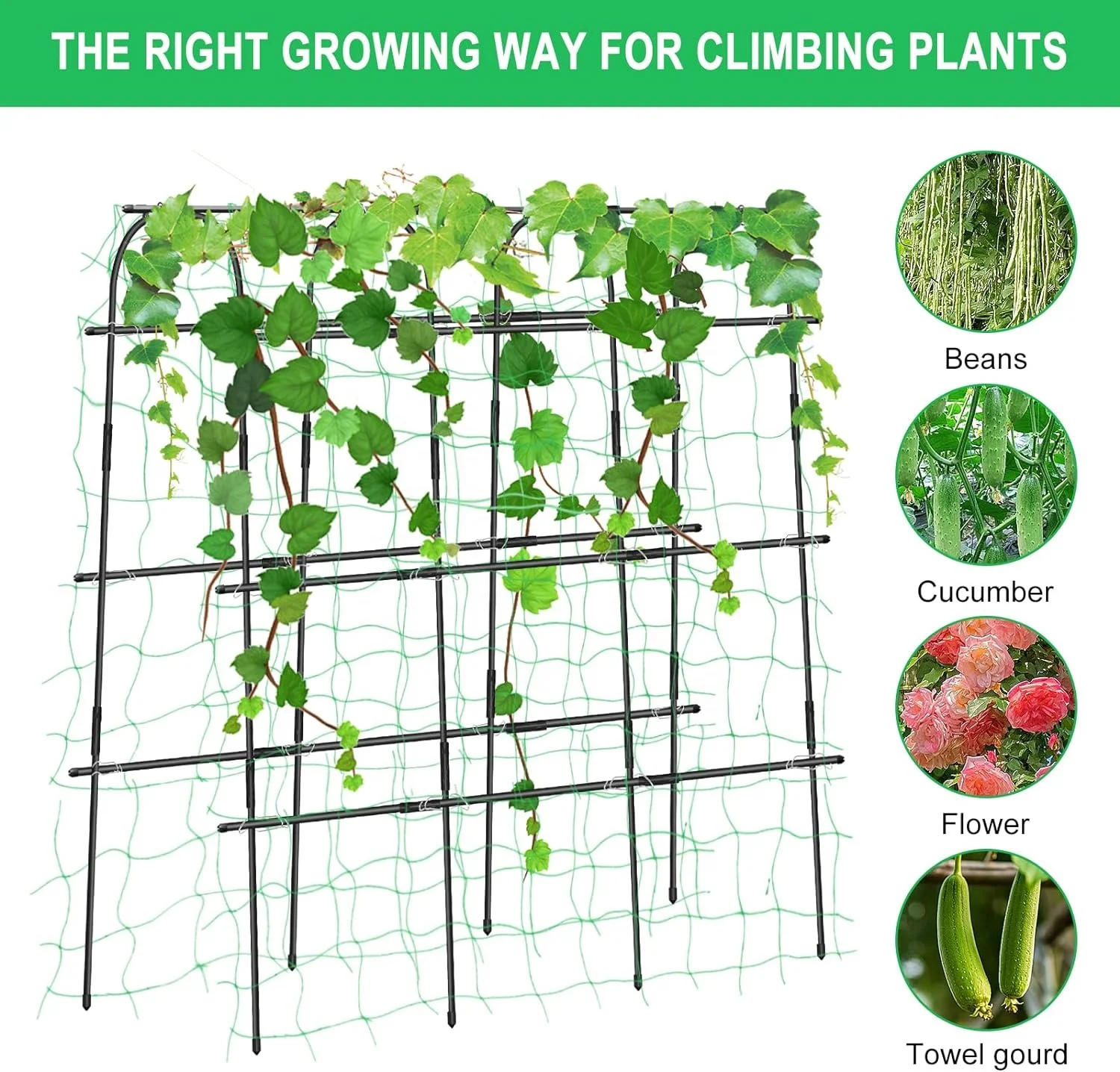 Charming Decoration Garden Arch Trellis Rustproof  Metal Climbing Frame For Vine Vegetable And Fruit
