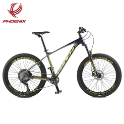 Phoenix Bicicletas Mountain Bike 29 Inch Aluminum Alloy Frame Customized MTB Bicycle