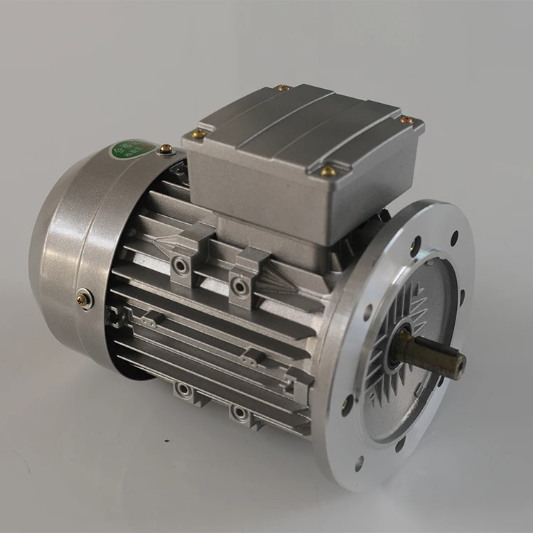 
China Professional Manufacturer Heavy 3 Phase Ac Motor 