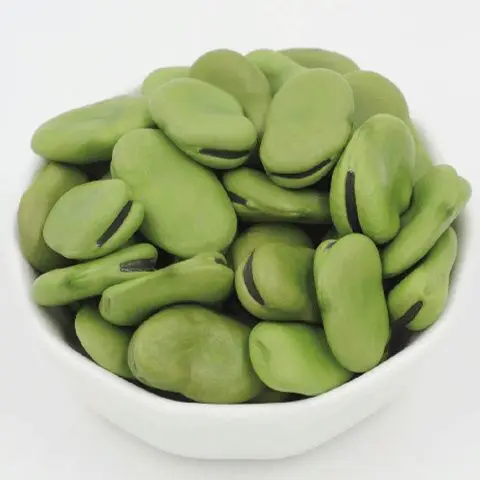 China  dried green  broad beans  to export in bulk