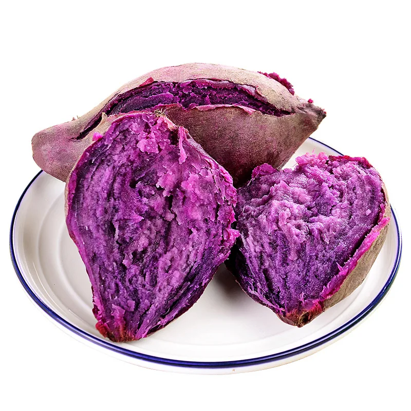 Cheap Price Purple Sweet Potato / Fresh Purple Sweet Potato
