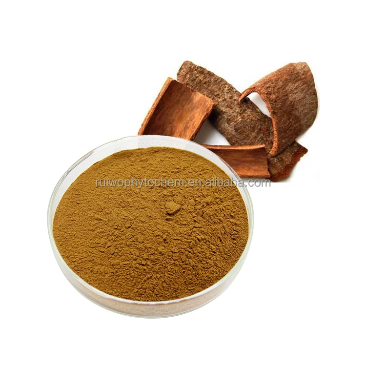 High Quality Pure Natural Bark Plant Cinnamon Bark Extract Powder 10% Polyphenols Ceylon Cinnamon Extract