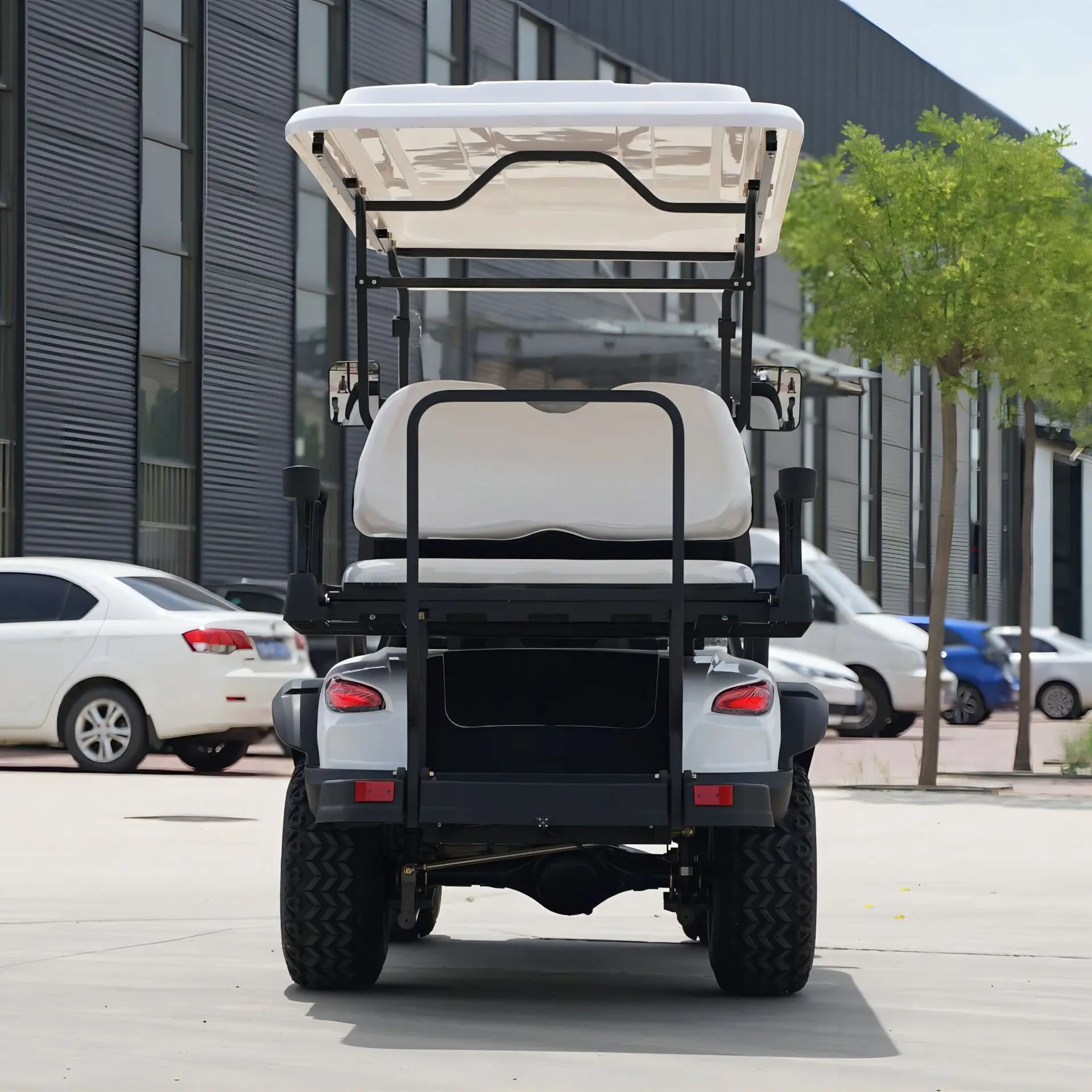 4 Seat 2+2 Electric Golf Cart Customized 48V Prices Electric Golf Car Golf Cart Accessories Rear Seat Kit