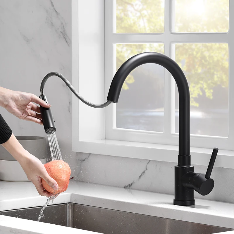 New Models Forious Matte Black Industrial Filter Pull-Out Tap Kitchen Sink Faucet