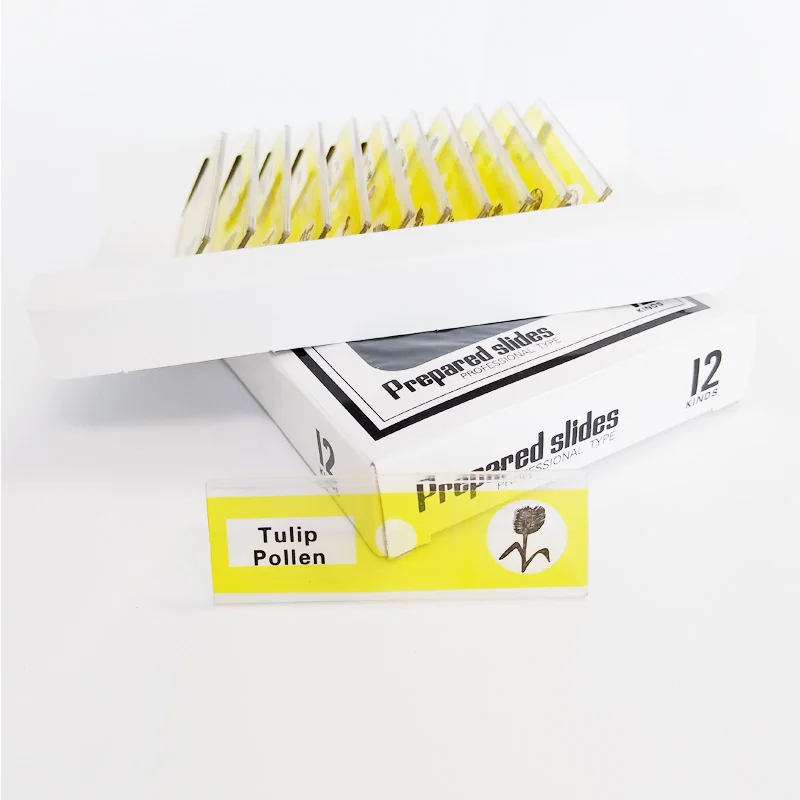 Children Plastic Microscope Slides Biology Slides Color Slides for Student