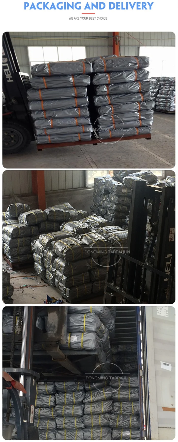 Tarpaulin Silver8.jpg