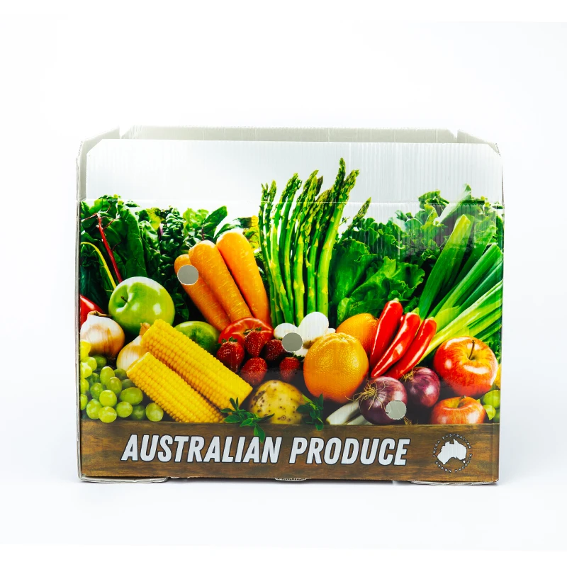 Vegetable Boxes 62L Customized Fruit /Vegetable Packaging Corrugated Plastic Box Corrugated Storage PP Packing Boxes
