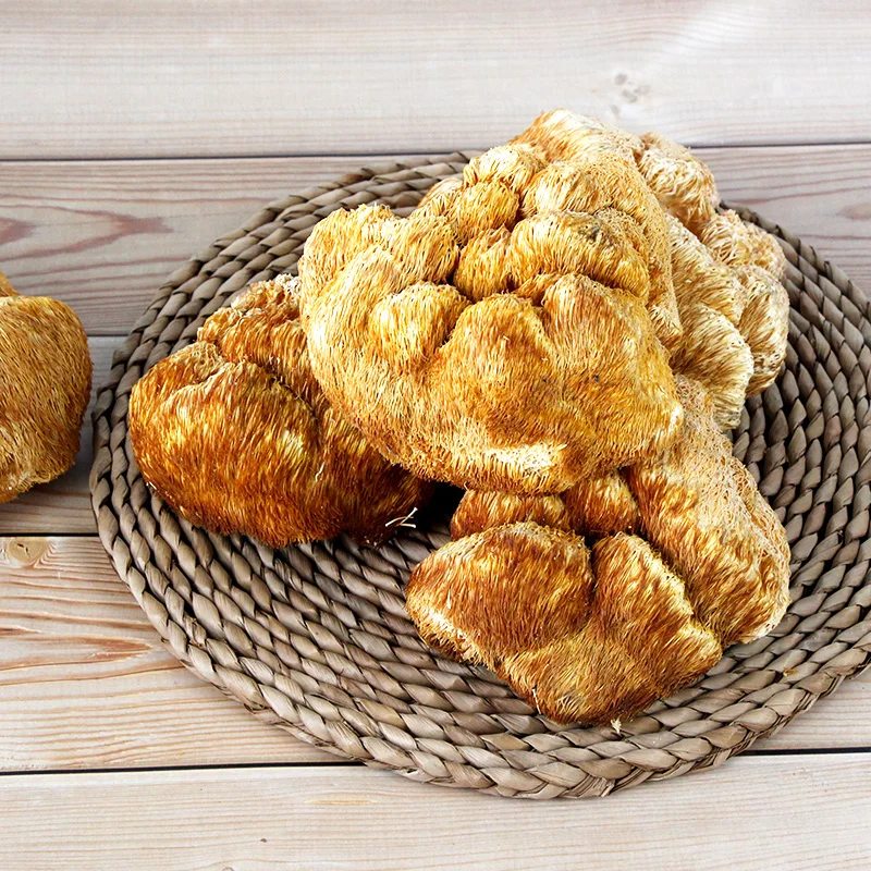 Оптовая продажа, самый популярный чистый и натуральный гриб левица обыкновенного, размер: 10-15 см