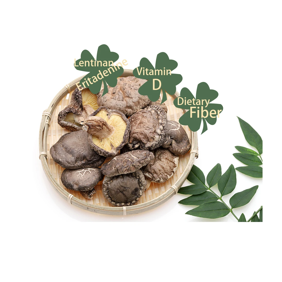 
High quality low calorie count can food dried mushroom for sale 