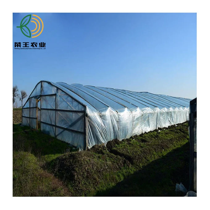 Single span film greenhouse Single-span tunnel garden green house for sale