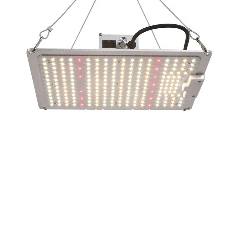 ETL/CE/ROHS/FCC 100W LED Grow Light full spectrum 2.7umol/J 0-10V Chain Daisy Dimmable With LM301b Chips  and China Brand Driver