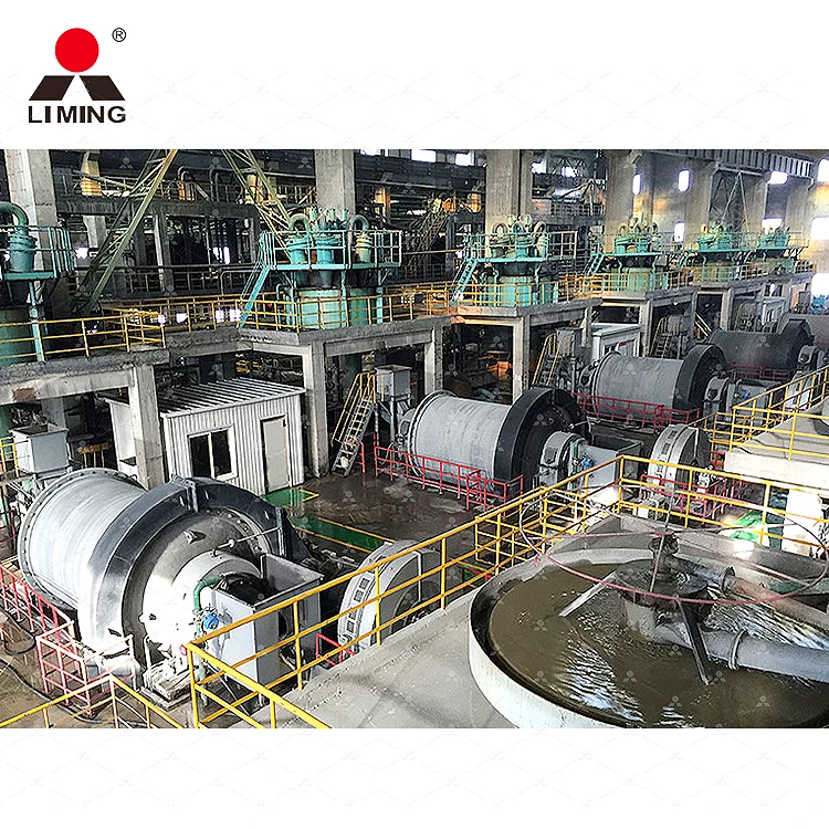 Высокое качество 100 Tpd оборудование для переработки золота Cil/Cip завод