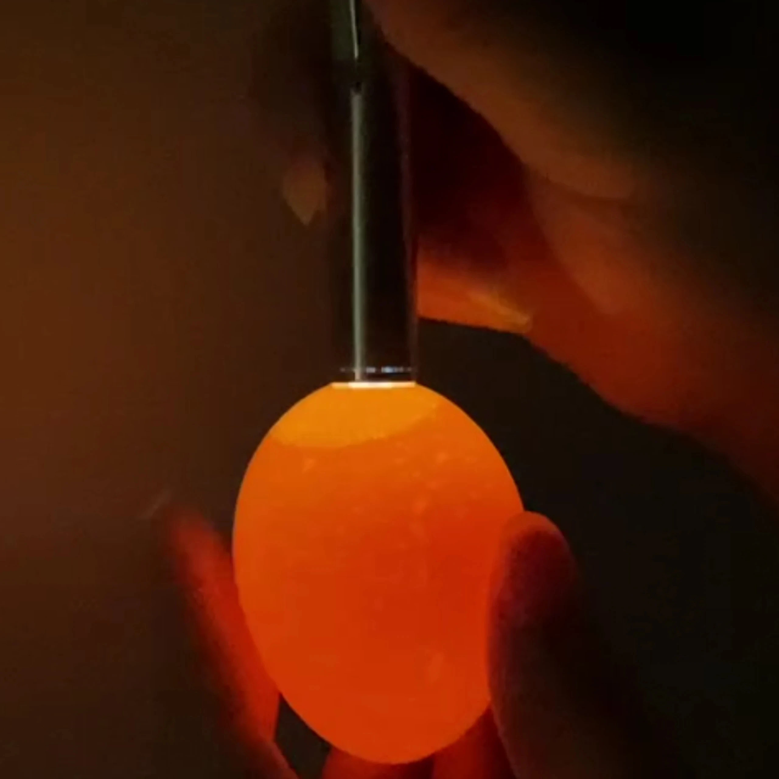 STAINLESS STEEL Incubator Eggtester Egg Candling Lamp LED Super Cold Equipment Incubation Tool