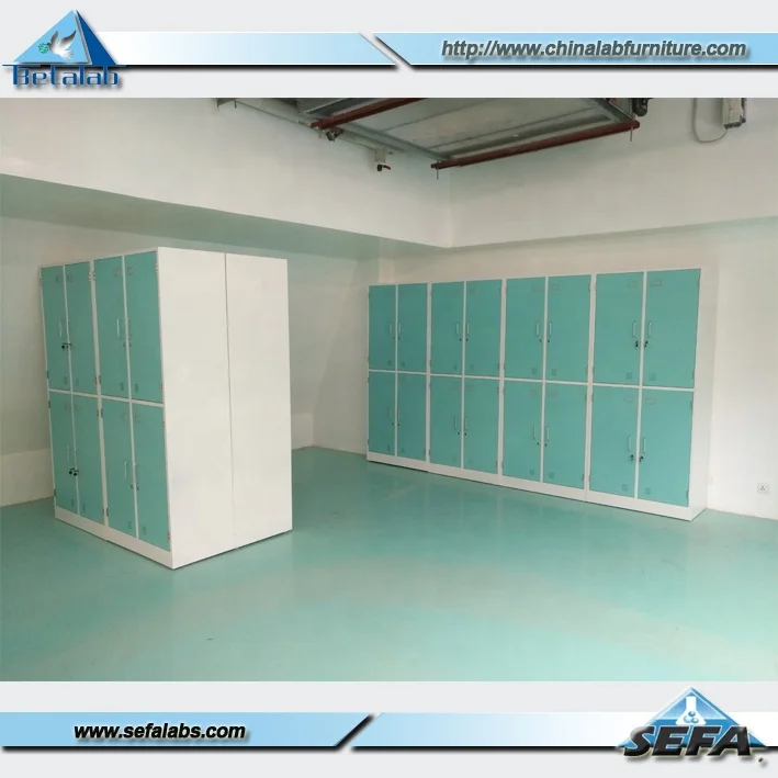 Lab Glassware Cabinet, Laboratory Vessel Cabinet, Lab Storage Cabinet