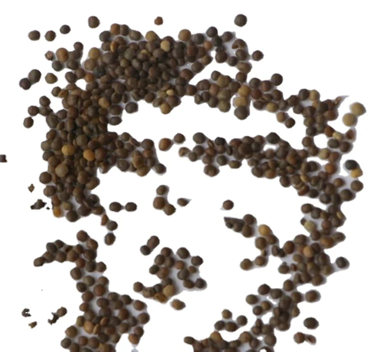 Лидер продаж, семена деревьев сумака орехового ореха для сельского хозяйства