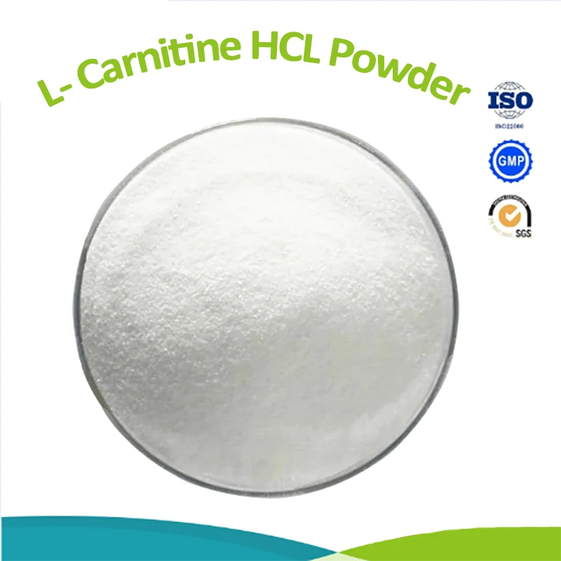 L-карнитин HCL порошок Аминокислоты 98% L-карнитина гидрохлорид CAS 10017-44-4