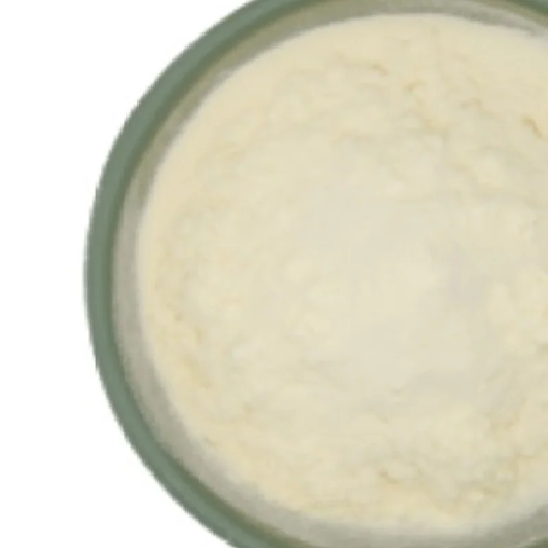 Pure Natural Allium sativum Garlic Extract Powder 1% 2% 5% Allicin