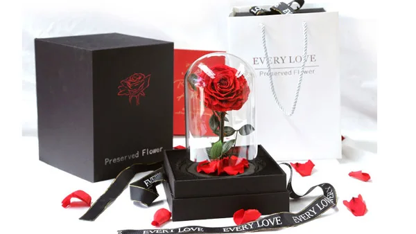 2023 PENGXUAN hot sale Wholesale rosa en cupula de vidrio preserved rose glass dome preserved rose in glass