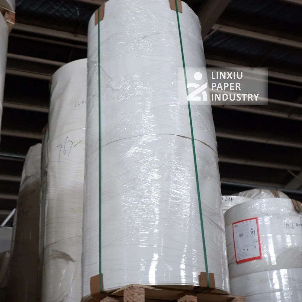 Versatile 200 gsm single PE coated paper roll for manufacturing paper cups and ice cream cups, perfect for printing