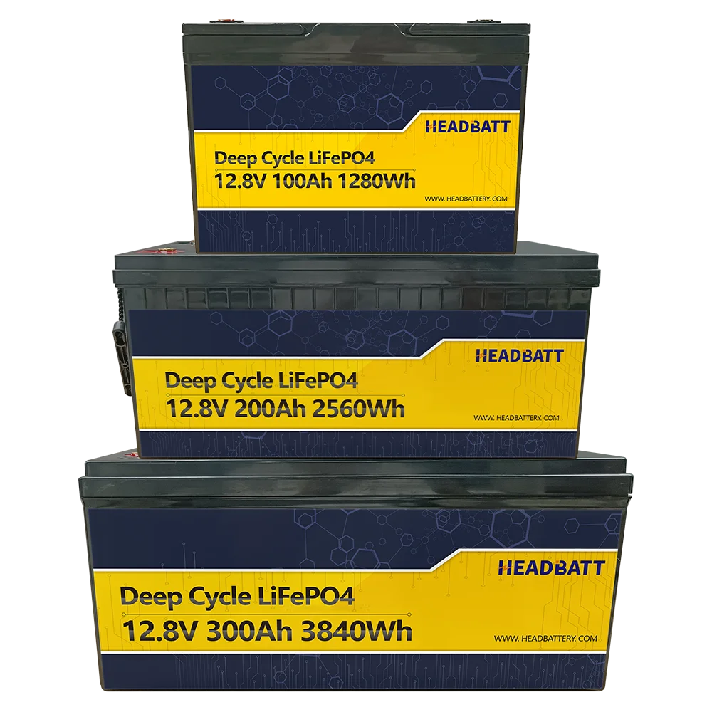 Литий-ионный Аккумулятор LiFePo4 12 В 50 Ач 100 200 ач 300 400