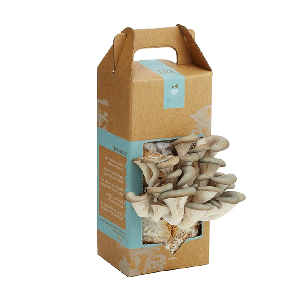Customized fresh fruit and vegetable paper packaging materials Oyster Mushroom Grow packaging boxes