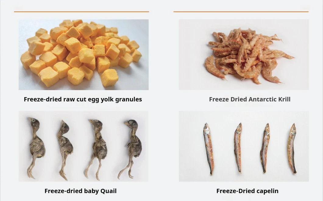 OEM/ODM High Protein Freeze-dried Duck Liver Granules Nourishing Protecting The Liver Suitable For Cats And Dogs