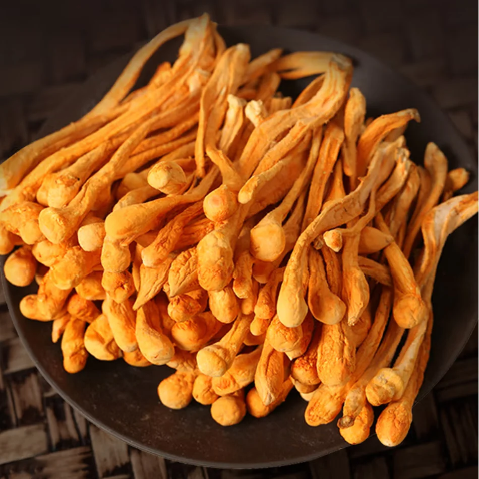 HUAOU Wholesale Chinese  Fungus High Quality Low Price Dried Cordyceps