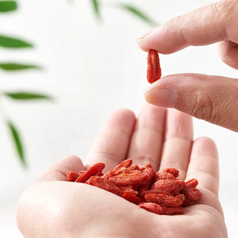 Dried Fruit Gou Qi Ningxia Organic Chinese Wolfberry Healthy Food Goji Berry